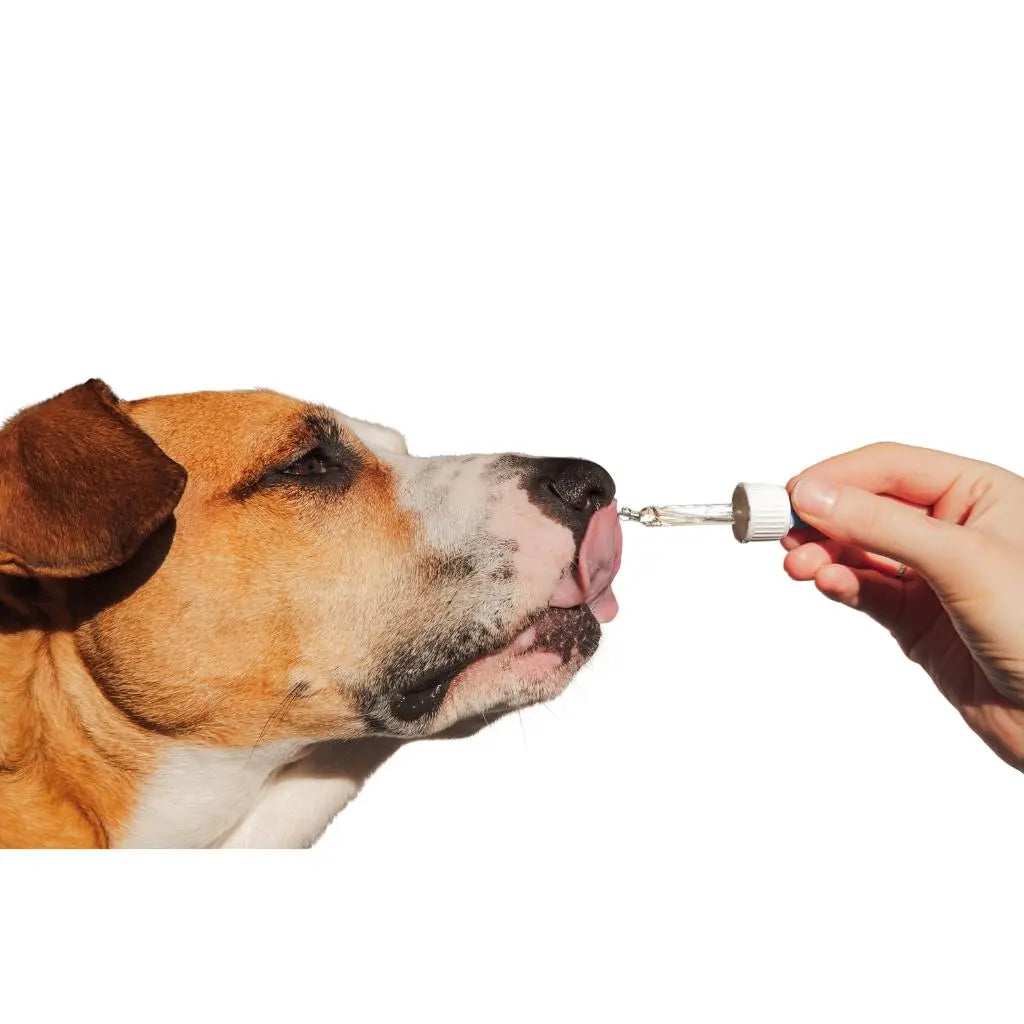 500mg Pet Hemp Oil
