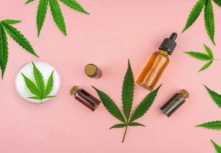 Hemp Oil Showdown: CBD Oil vs Hemp Seed Oil - Unraveling Nature's Secret Potions RIGHTEOUS Hemp Co.