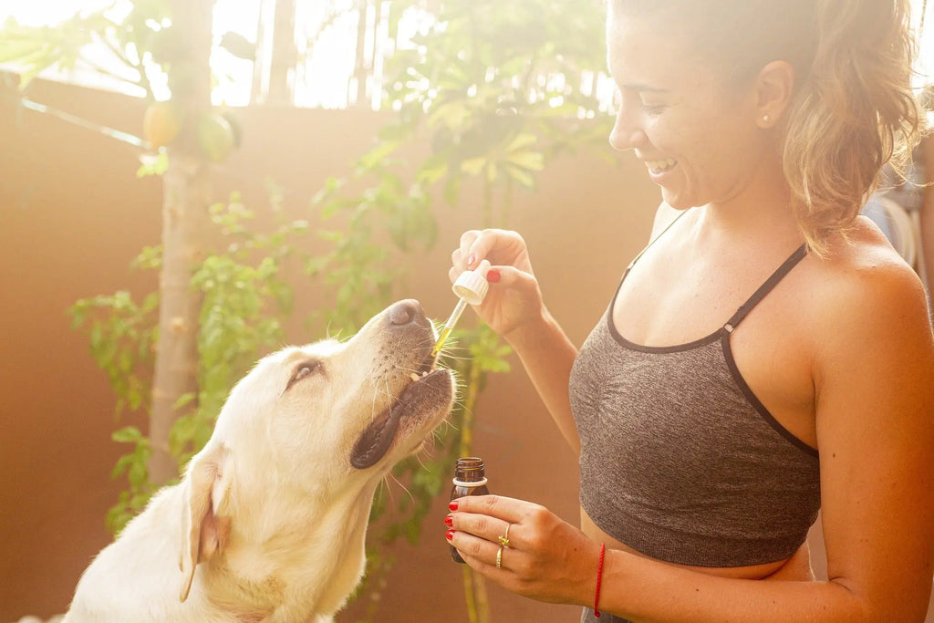 Is Cannabis Medicine? What do we know for a fact.