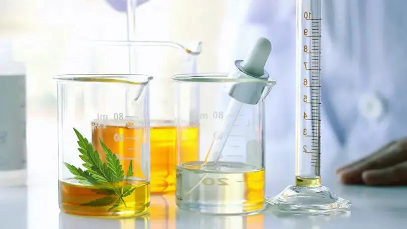 The Extraction Process of CBD Oil - RIGHTEOUS Hemp Co.