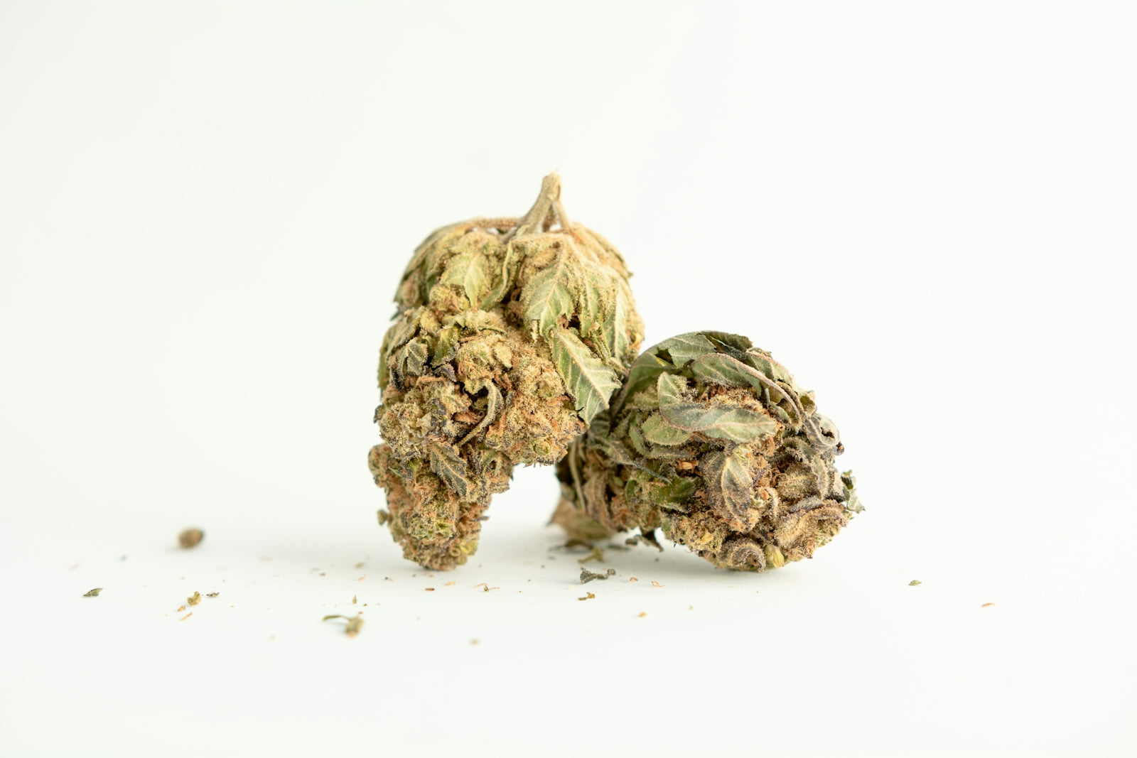 a couple of pieces of marijuana sitting on top of each other
